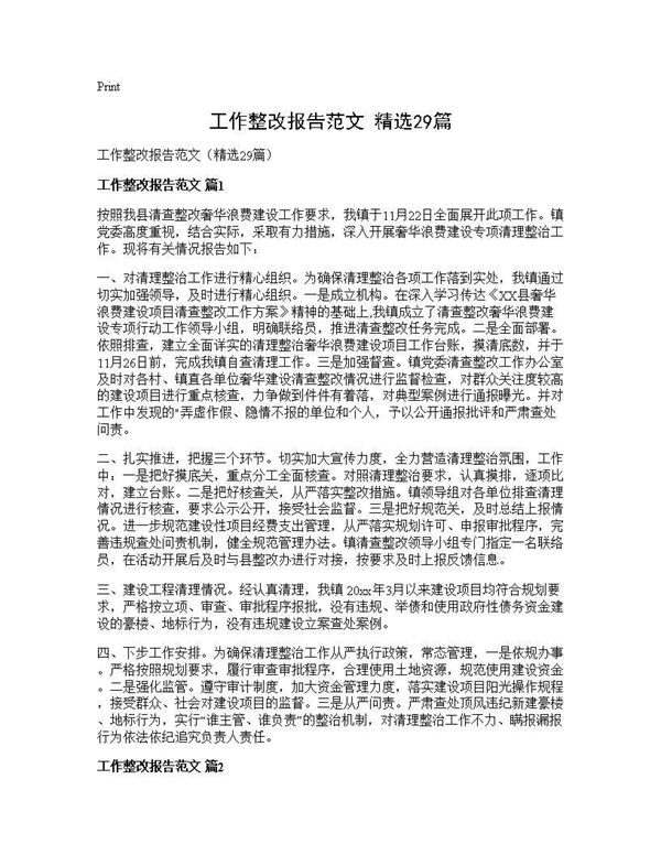 工作整改报告范文(精选)