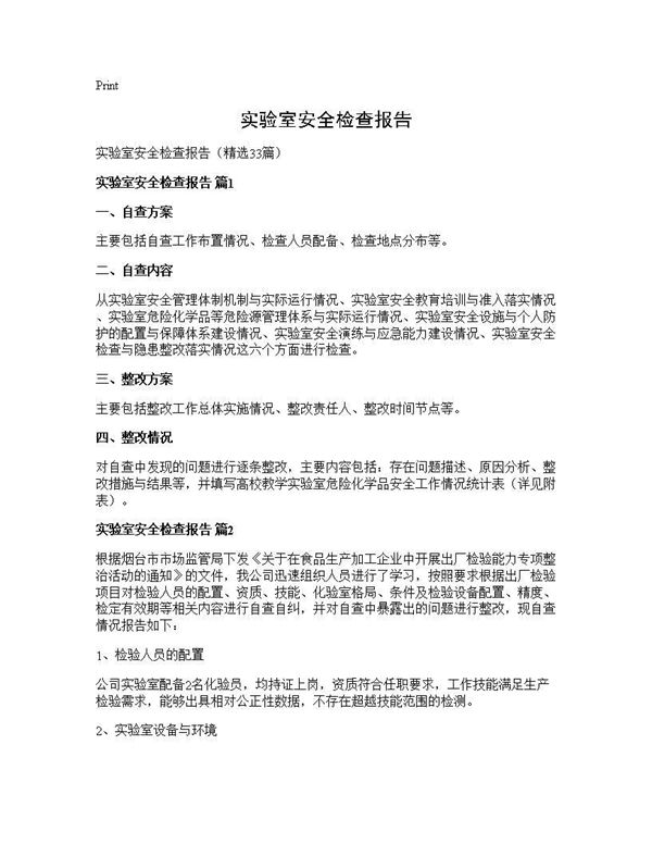 实验室安全检查报告