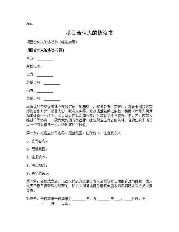 项目合伙人的协议书