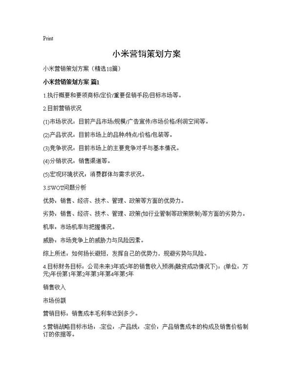 小米营销策划方案