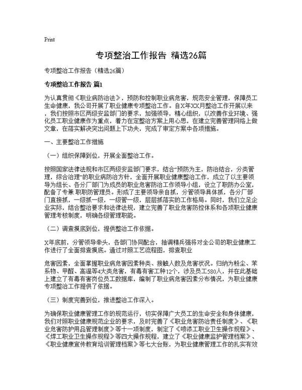 专项整治工作报告(精选)