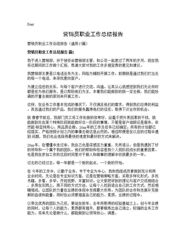 营销员职业工作总结报告