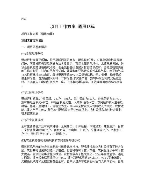 项目工作方案(通用)