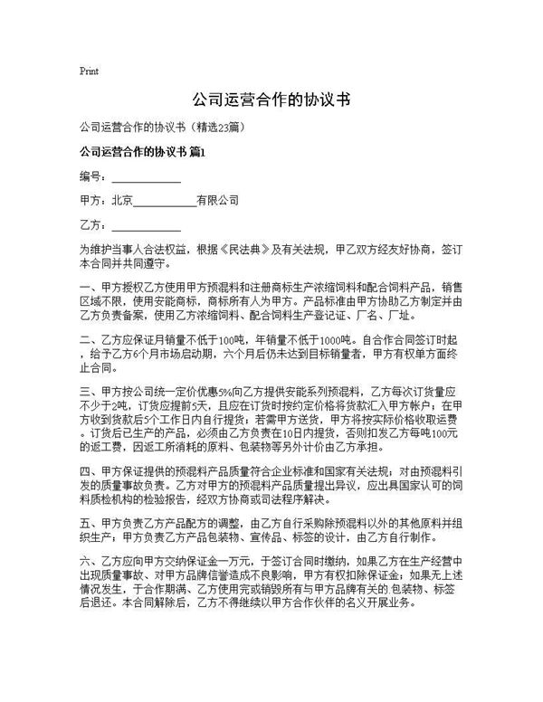 公司运营合作的协议书