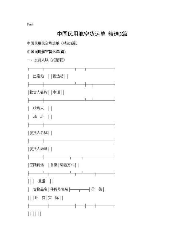 中国民用航空货运单(精选)