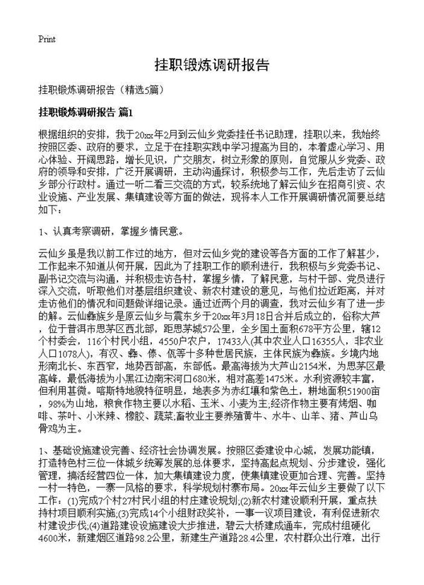 挂职锻炼调研报告