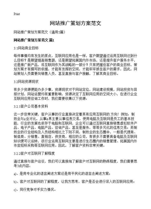 网站推广策划方案范文