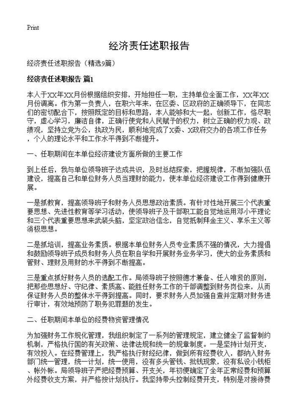 经济责任述职报告