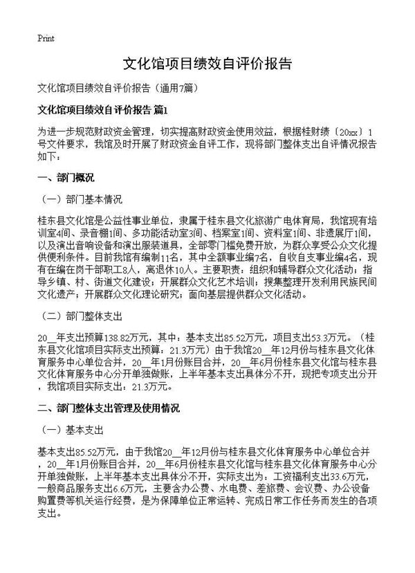 文化馆项目绩效自评价报告