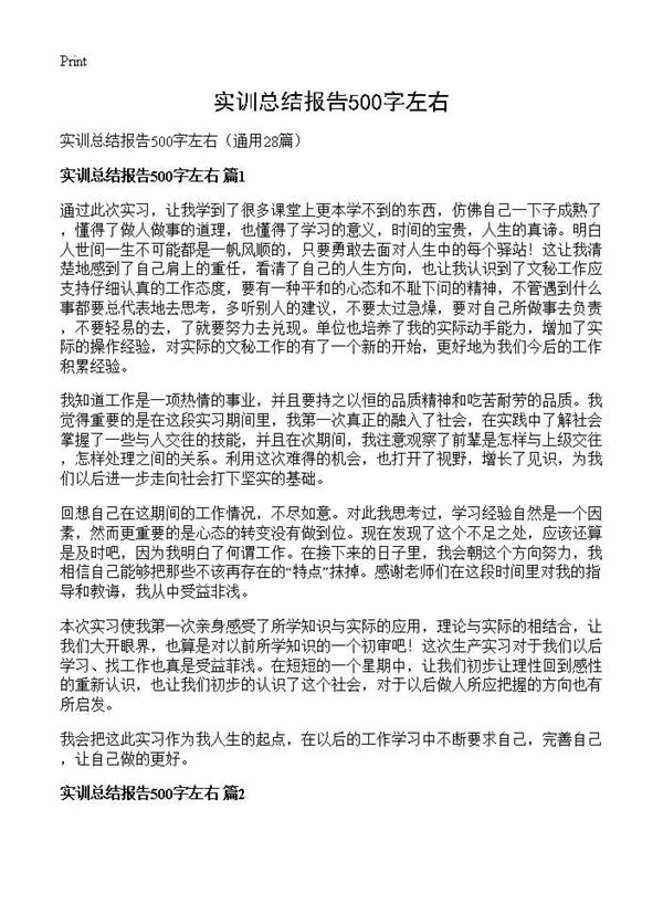 实训总结报告500字左右