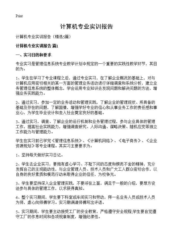 计算机专业实训报告