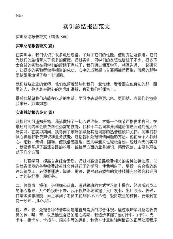 实训总结报告范文
