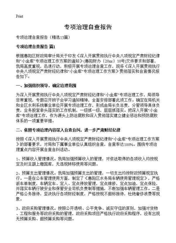 专项治理自查报告