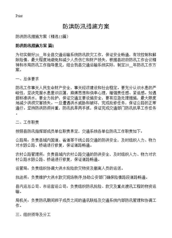 防洪防汛措施方案