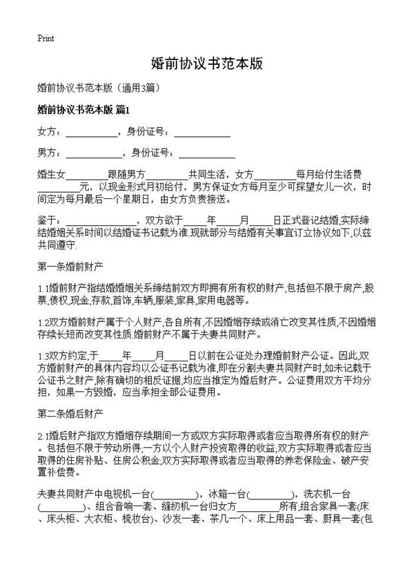 婚前协议书范本版