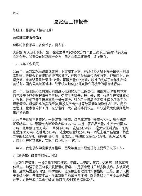 总经理工作报告