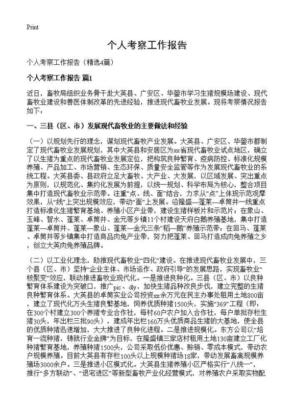 个人考察工作报告