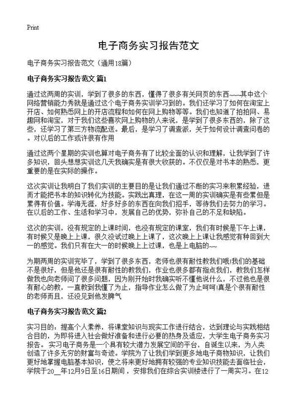 电子商务实习报告范文