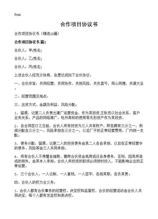 合作项目协议书