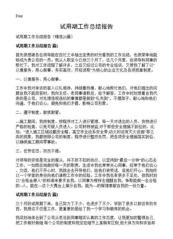 试用期工作总结报告