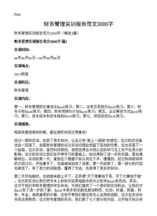 财务管理实训报告范文3000字
