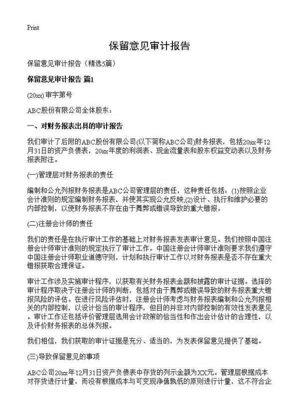 保留意见审计报告