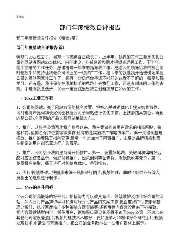 部门年度绩效自评报告