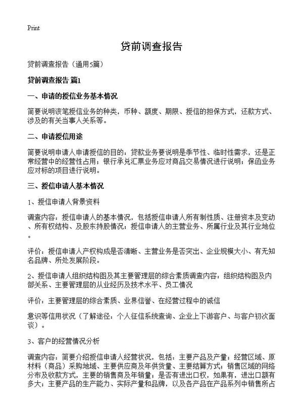 贷前调查报告