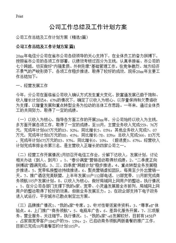 公司工作总结及工作计划方案