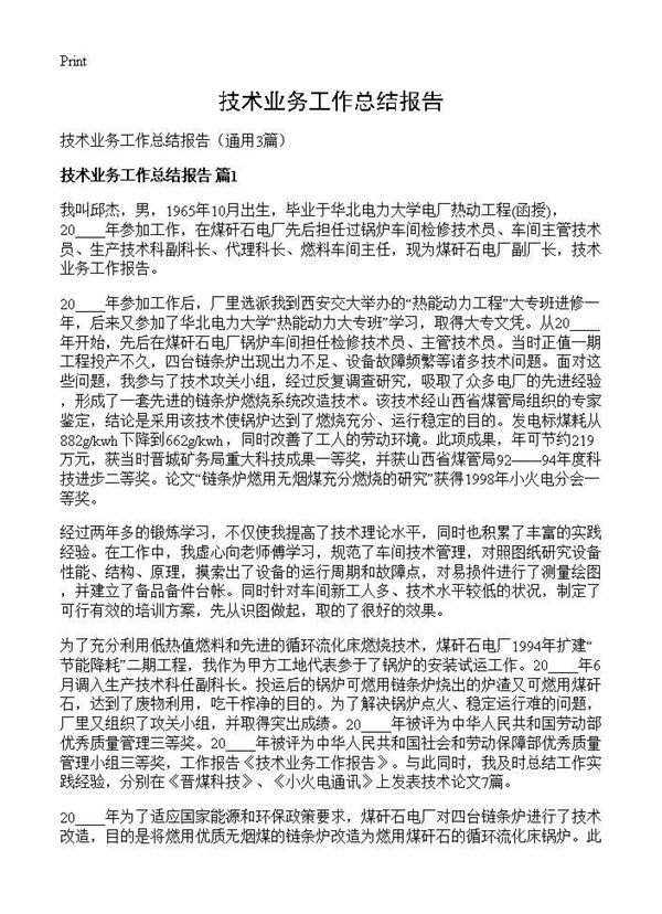 技术业务工作总结报告