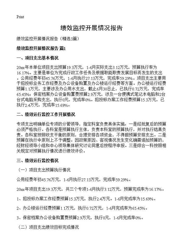 绩效监控开展情况报告