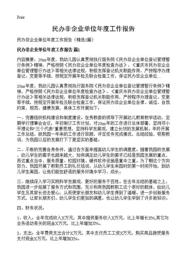 民办非企业单位年度工作报告