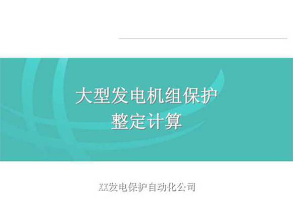 国家电网 大型发电机组保护整定计算
