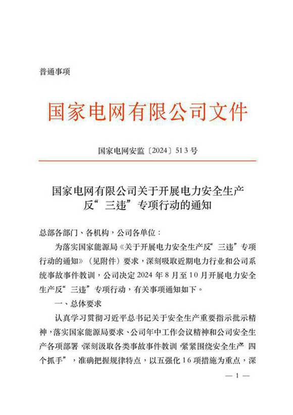 国家电⽹安监2024513 号国家电⽹有限公司关于开展电⼒安全⽣产反 三违 专项⾏动的通知