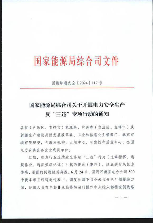国能综通安全2024117号国家能源局综合司关于开展电⼒安全⽣产反 三违 专项⾏动的通知