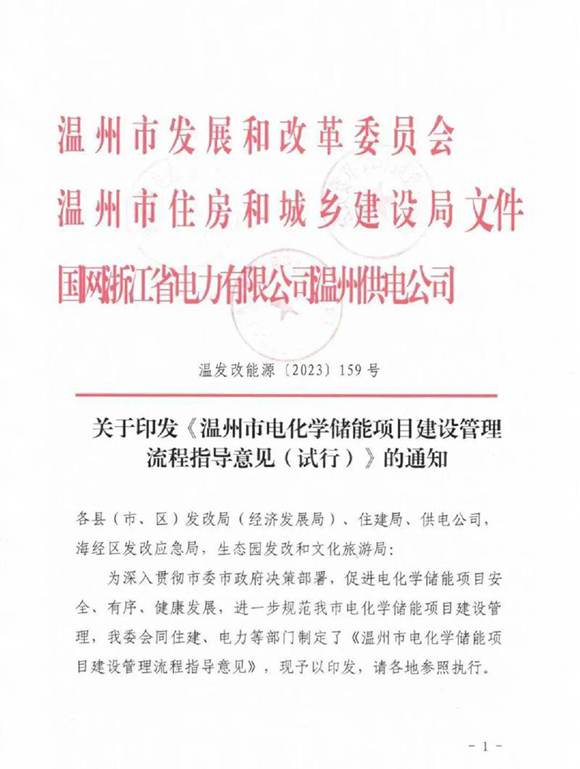 温州市电化学储能项目建设管理流程指导意见