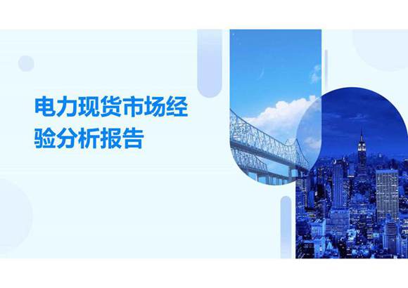 电力现货市场经验分析报告