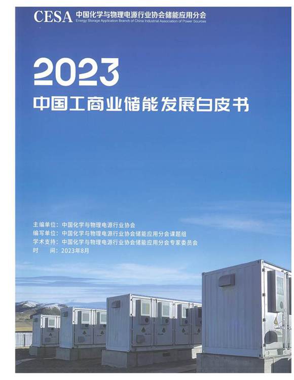 2023中国工商业储能发展白皮书(CESA)