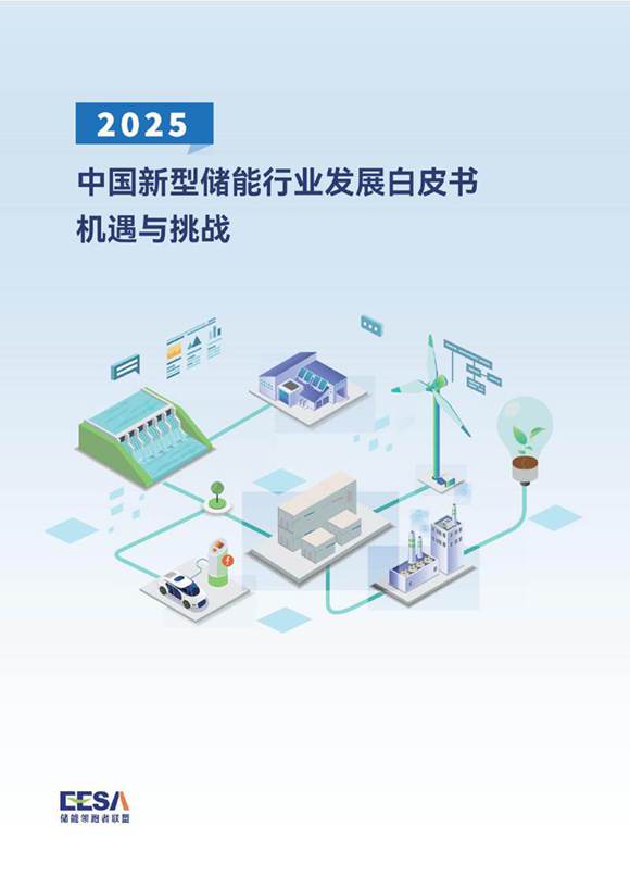 2025中国新型储能行业发展白皮书 机遇与挑战