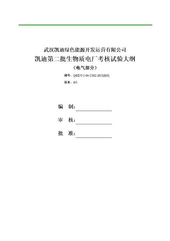 二批电厂电气性能试验大纲2
