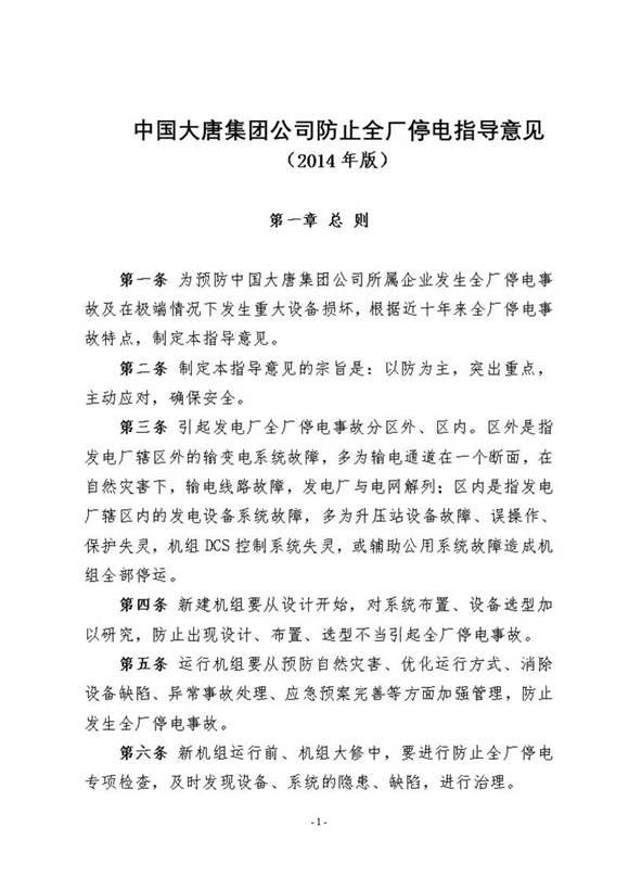 中国大唐集团公司防止全厂停电指导意见