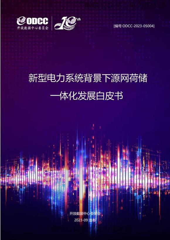新型电力系统背景下源网荷储一体化发展白皮书
