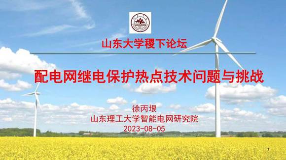 配电网继电保护热点技术问题与挑战--山东理工 徐丙垠
