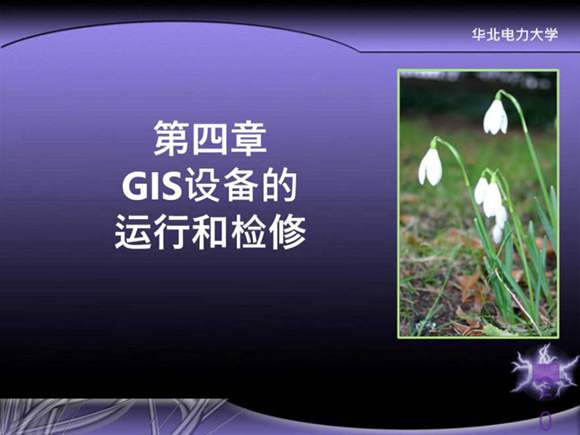 第五章 GIS设备的运行和检修