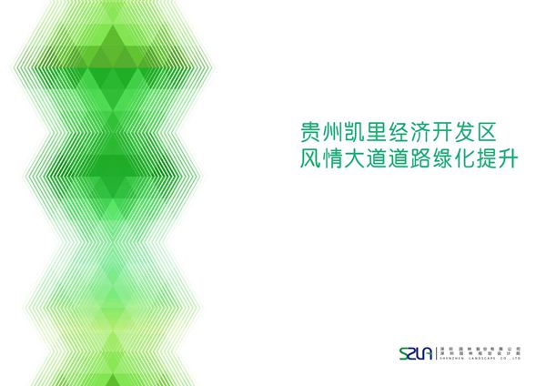 贵州凯里经济开发区风情大道道路绿化提升方案文本23页