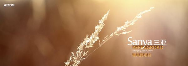 三亚椰风路项目道路景观工程概念设计方案