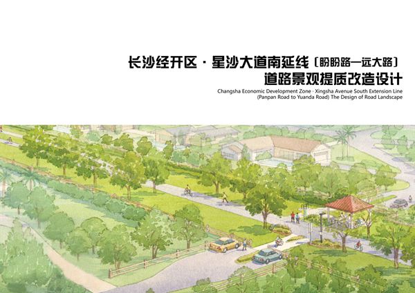 长沙经开区星沙大道南延线盼盼路远大路道路景观提质改造设