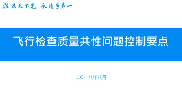 飞行检查质量共性问题控制要点(混凝土钢筋预应力桩基)，50页PPT