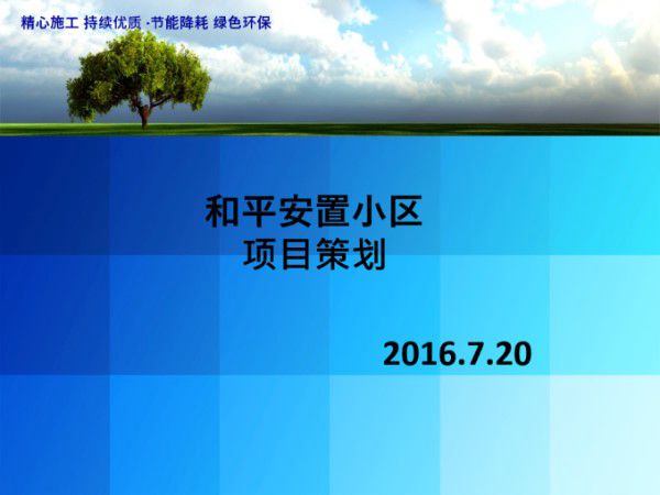 (长沙)安置小区项目策划书(图文并茂)