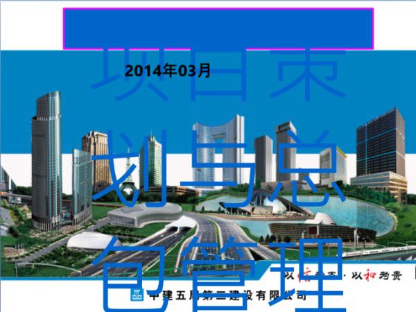 (中建)项目策划与总包管理(189页，附图)